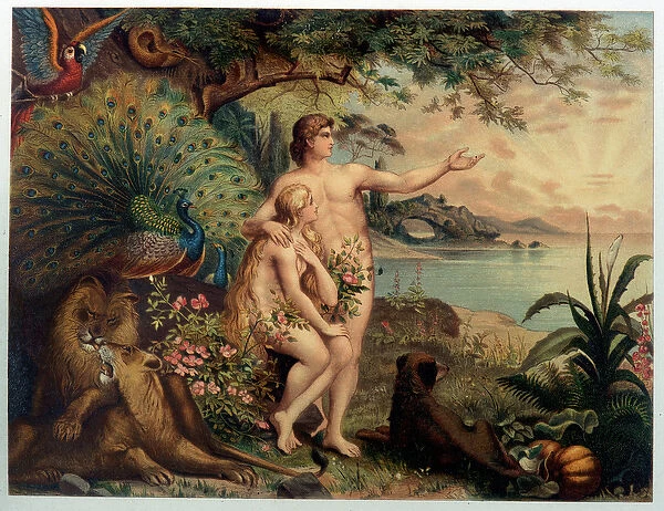 Adam and Eve au Paradise earthly (Eden) - in 'Aurea Bibbia classica