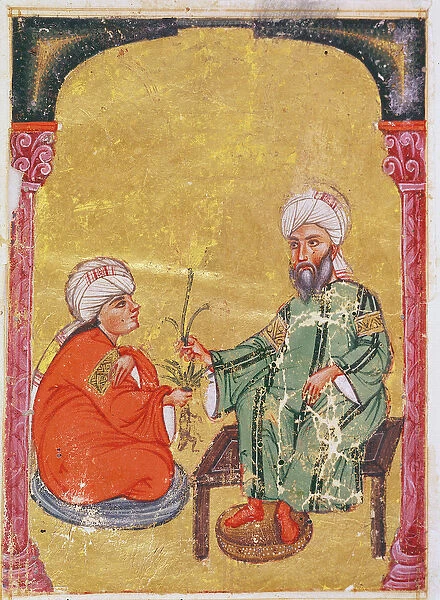 Ahmet III, 2127 Illustration from De Materia Medica by Dioscorides (gouache