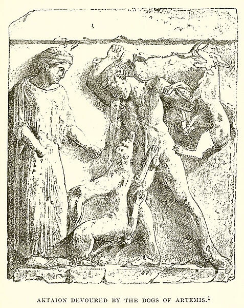 Aktaion devoured by the Dogs of Artemis (engraving)
