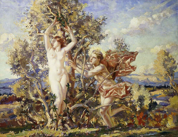 Apollo and Daphne, (oil on canvas)