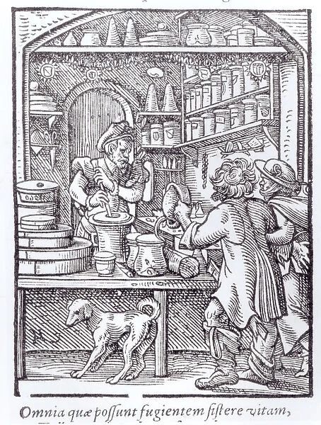 The Apothecary, published by Hartman Schopper (woodcut) (b  /  w photo)