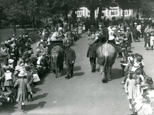 Asian elephant rides with crowds of onlookers at London Zoo, 1922 (b  /  w photo)