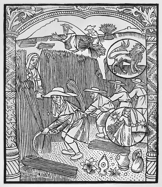 August, harvesting, Leo, illustration from the Almanach des Bergers, 1491
