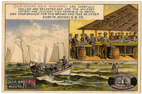 Austin, Nichols & Co. Ocean Gem Mackerel, trade card recto. (colour litho [trade card])