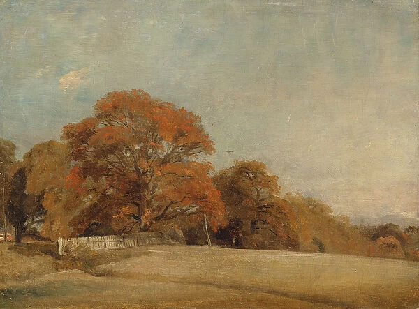 An Autumnal Landscape at East Bergholt, c. 1805-08 (oil on canvas)