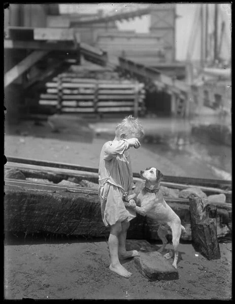 Barefoot boy, possibly William Gray Hassler, plays with dog on the shore of a river or