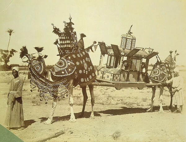 Bridal Palanquin, Cairo, Egypt, c. 1878 (b  /  w photo)