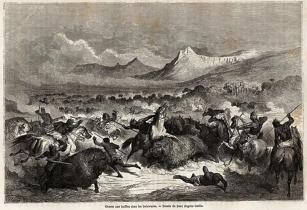 Buffalo hunting among the Delawares, Amerindians living on the banks of the river of
