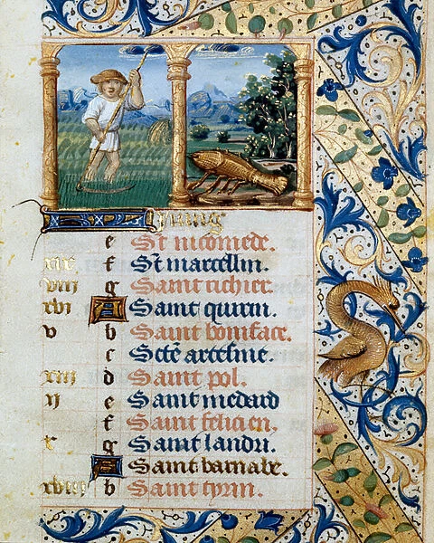 Calendar, June, a peasant mowing and the sign of cancer. 16th century (miniature)