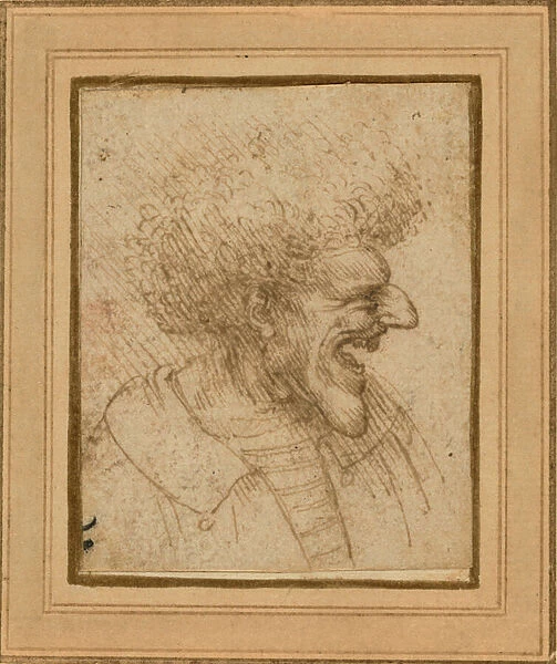 Caricature of a Man with Bushy Hair, c. 1495 (pen and brown ink)