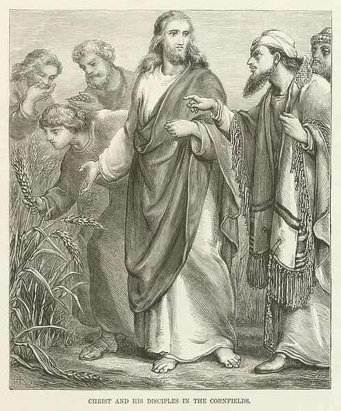 Christ and his disciples in the cornfields (engraving)
