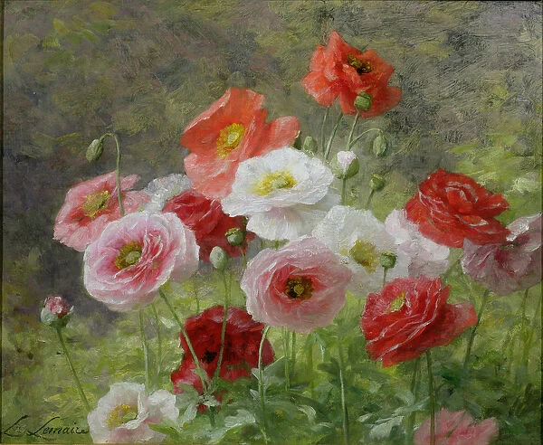 Cluster of Poppies, 1884 (oil on canvas)