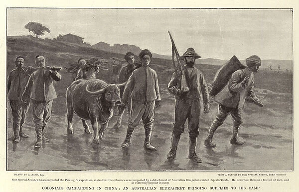 Colonials campaigning in China, an Australian Bluejacket bringing Supplies to his Camp (engraving)