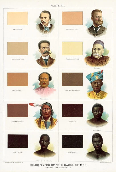Color-Types of the Races of Men, British Association scale (colour litho)