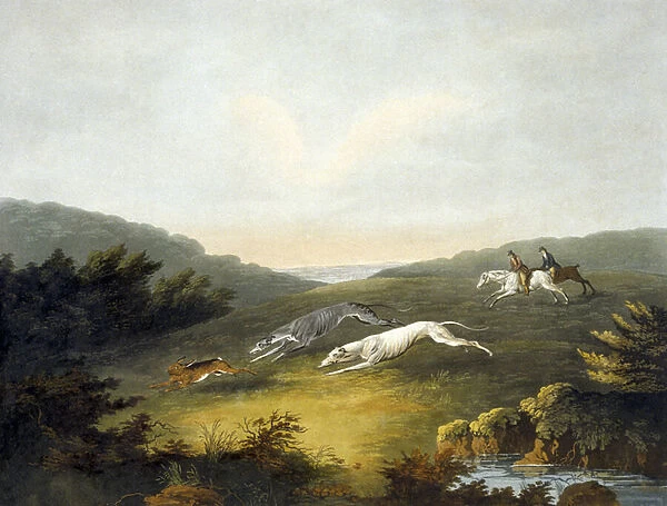 Coursing, plate 2, engraved by R. G. Reeve, 1807 (colour litho)