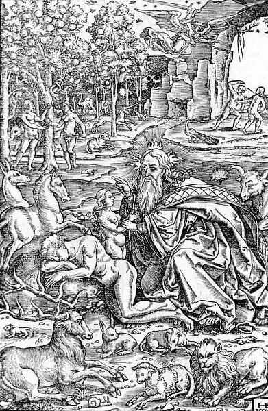 The Creation of Eve, from The Luther Bible, 1550 (woodcut)