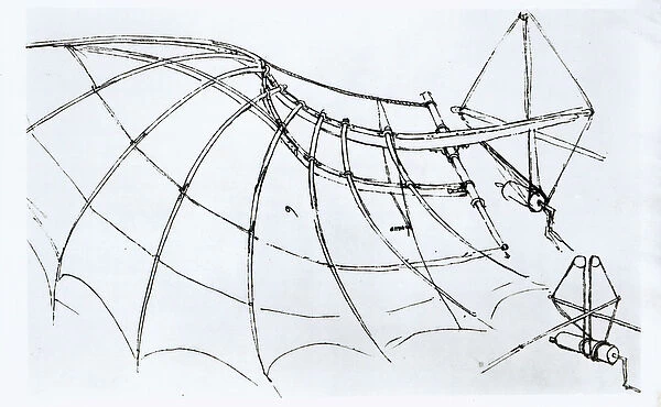 Diagram of a mechanical wing, manuscript B, 1488-89 (pen & ink on paper) (b  /  w photo)