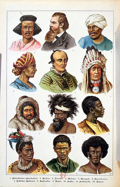 The Different Human Races, from Natural History of the Animal Kingdom