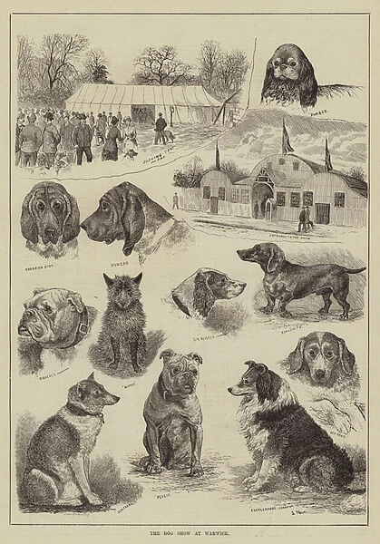 The Dog Show at Warwick (engraving)