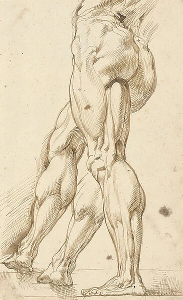 An ecorche study of the legs of a male nude, with a subsidiary study of the right leg