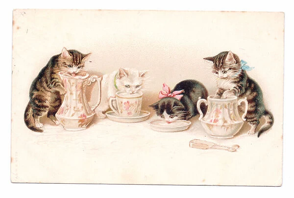 Edwardian postcard of four cats drinking milk from cups saucers and a jug, c