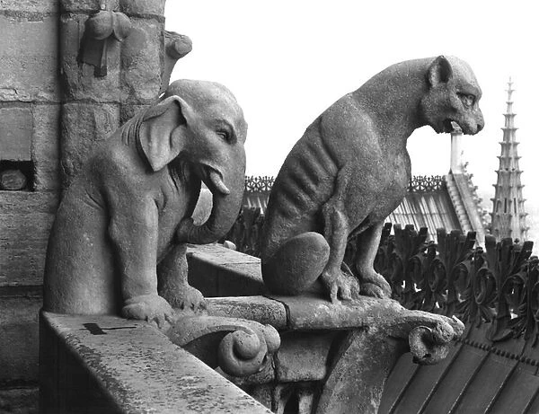 Elephant and lion gargoyles from the balustrade of the Grande Galerie of the west facade, replica of a 12th century original (stone) (b  /  w photo)