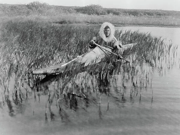 An Eskimo muskrat hunter paddling through the marsh, Kotzebue, Alaska, c. 1929 (b / w photo)