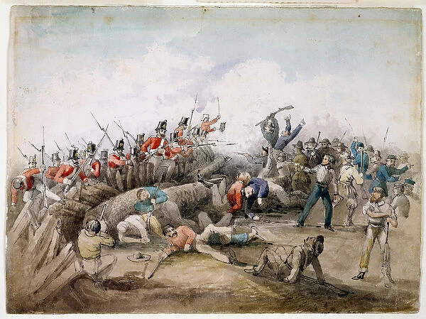 Eureka Stockade riot, Ballarat, Australia, 1854 (w  /  c)
