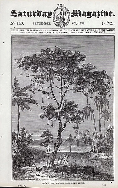 Eves Apple, or the Forbidden Fruit (engraving)