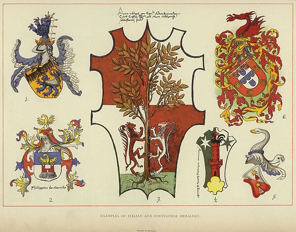 Examples of Italian and Portuguese Heraldry (colour litho)
