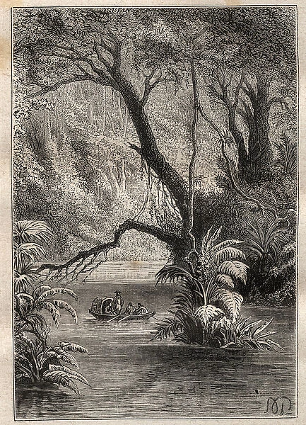 Expedition to America (1799-1804) by Alexander von Humboldt (1769-1859