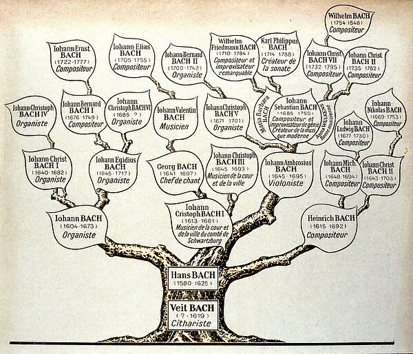 Family tree of the Bach family