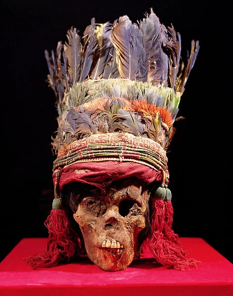 Feathered headdress on a skull, from Peru (feather)