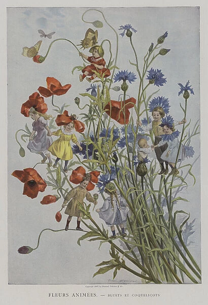 Fleurs Animees. Bluets et Coquelicots. (Animated Flowers: cornflowers and poppies) (colour litho)