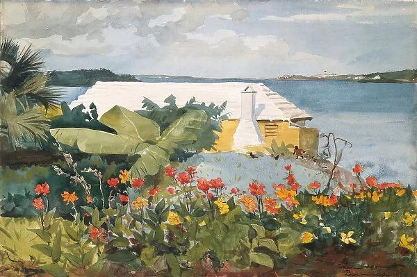 Flower Garden and Bungalow, Bermuda, 1899 (w  /  c and graphite on off-white wove paper)