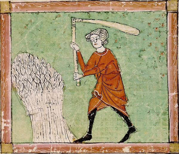 Fol. 59r August: Threshing Wheat (vellum)