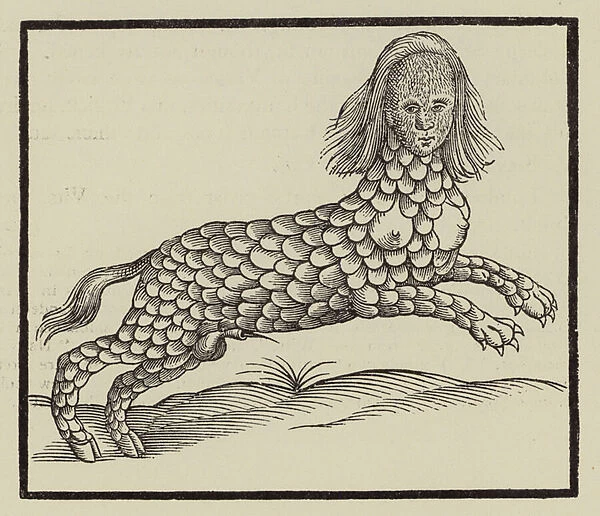 Four-legged creature with a body covered in scales (engraving)