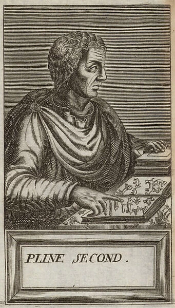 Gaius Plinius Caecilius Secundus (engraving)