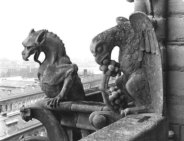 Gargoyles from the balustrade of the Grande Galerie of the west facade, replica of a 12th century original (stone) (b  /  w photo)