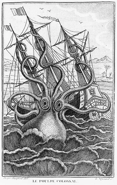 Giant Octopus, illustration from L Histoire Naturelle Generale et Particuliere