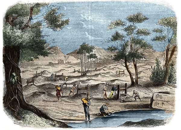 Gold Rush in Australia: sight of prospectors in the gold fields of the city of Bendigo