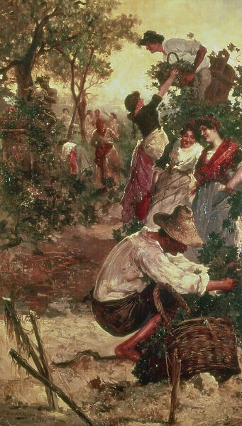 The Grape Harvest, 1900