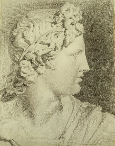 Head of the Apollo from the Belvedere in profile to the right