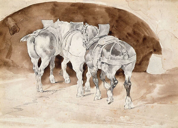 Three heavy horses in harness (pencil & sepia wash)
