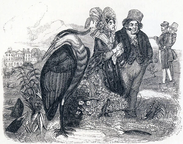 The heron (le Heron) - Fables by La Fontaine, 19th century (engraving)
