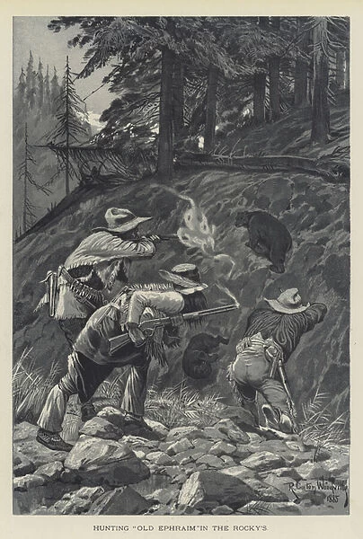 Hunting 'Old Ephraim'in the Rockys (litho)