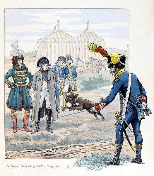 Illustration from the book 'A la gloire des betes'text by A Fabre