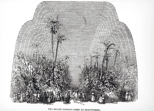 Interior of the Great Conservatory at Chatsworth, 1843 (engraving) (b  /  w photo)