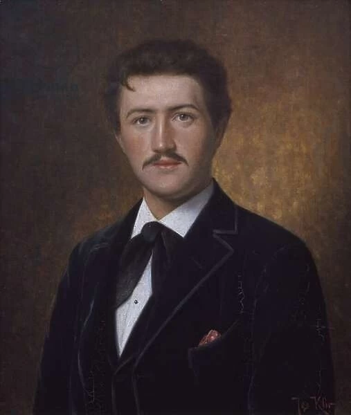 Josef Suk (1874-1935) in the age of 21 years, 1895 (oil on canvas)