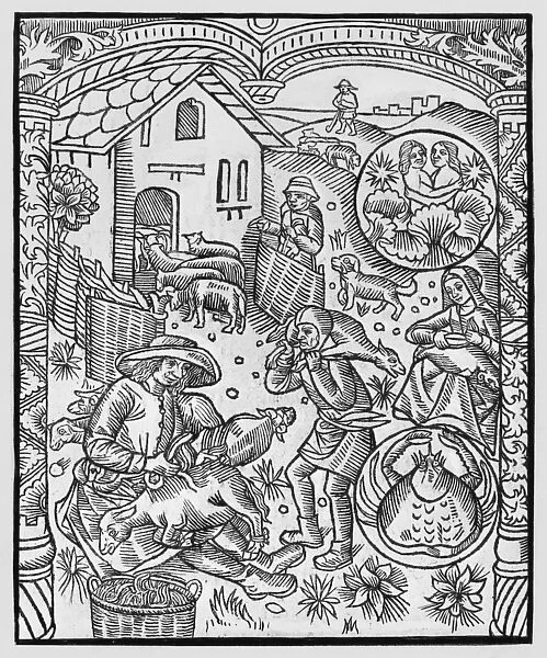 June, sheep shearing, Gemini, illustration from the Almanach des Bergers